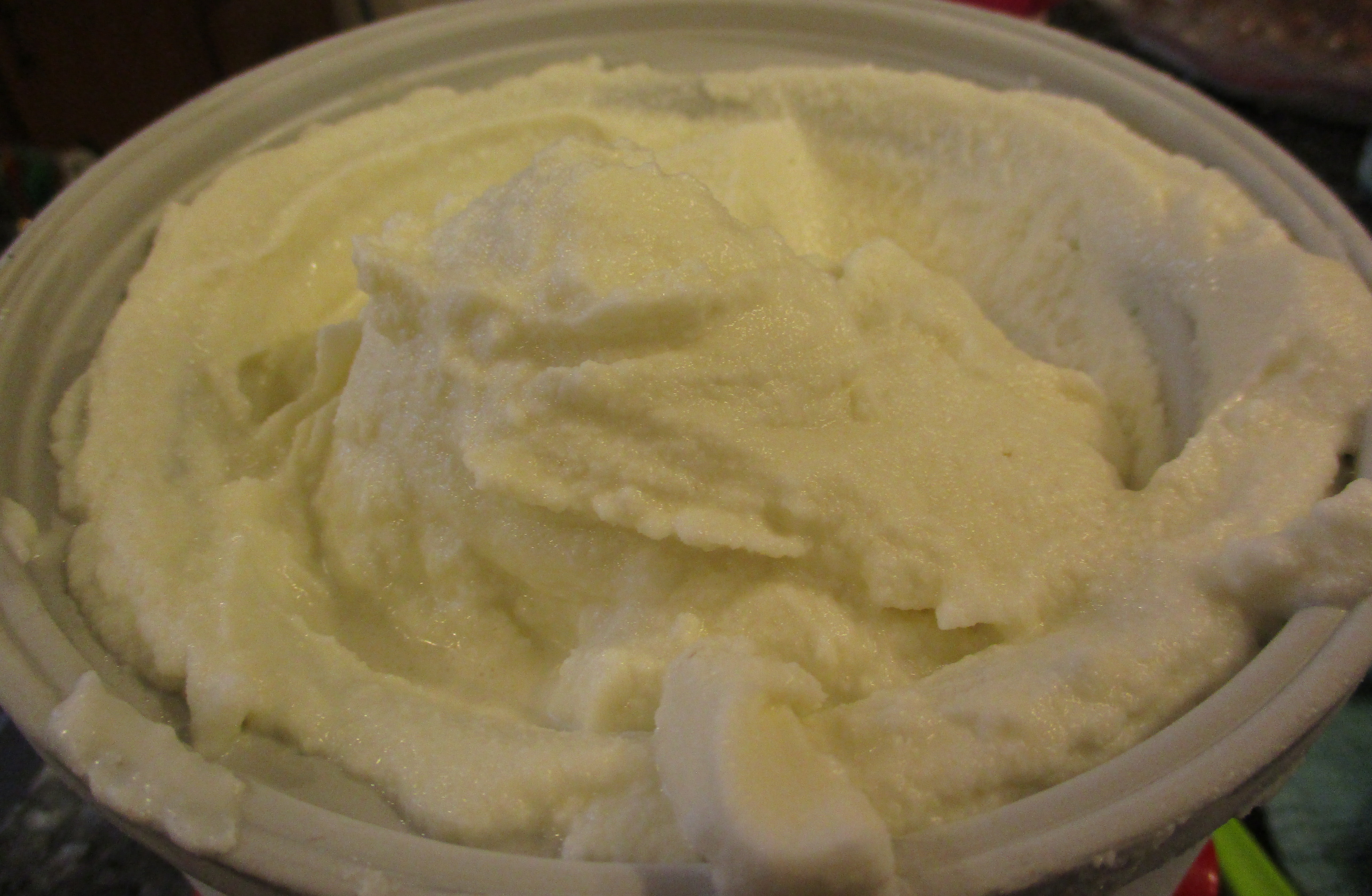 20 Minute Homemade Ice Cream